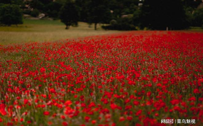 性出轨_性出轨_性出轨