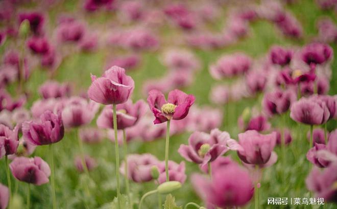 性出轨_性出轨_性出轨