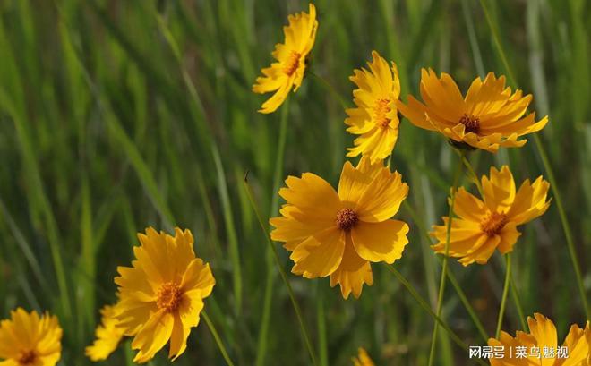 性出轨_性出轨_性出轨