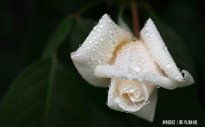 性出轨_性出轨_性出轨