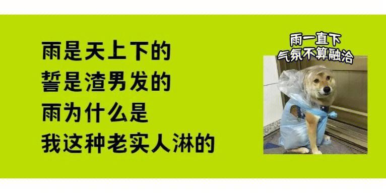 小三取证调查公司有责任吗_小三调查取证公司_小三取证调查公司怎么办