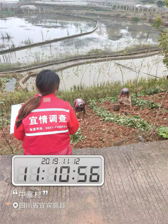 本地私家侦探公司_本地私家侦探调查公司_私人侦探公司